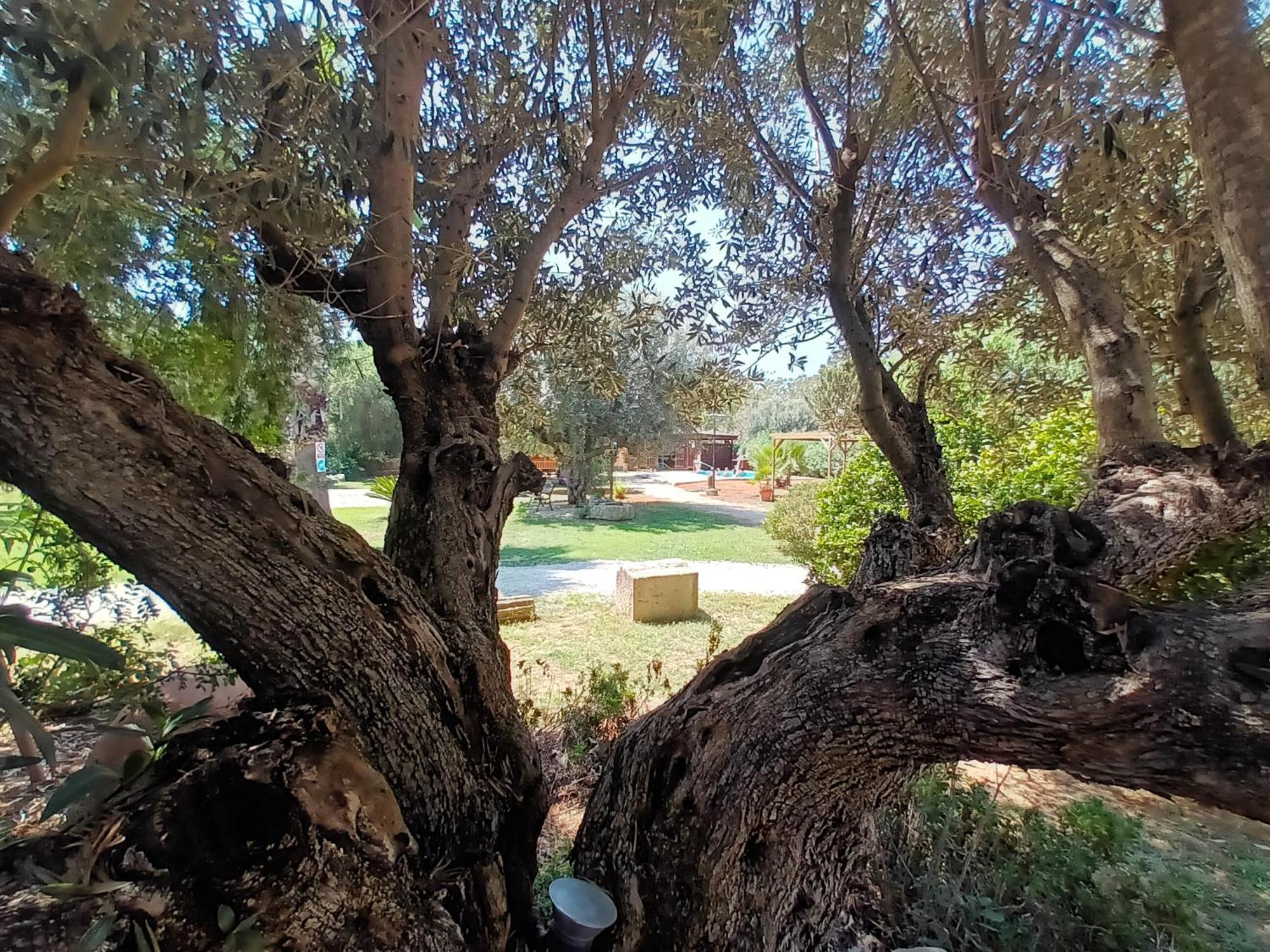 Entre Viejos Olivos Βίλα Benicolet Εξωτερικό φωτογραφία