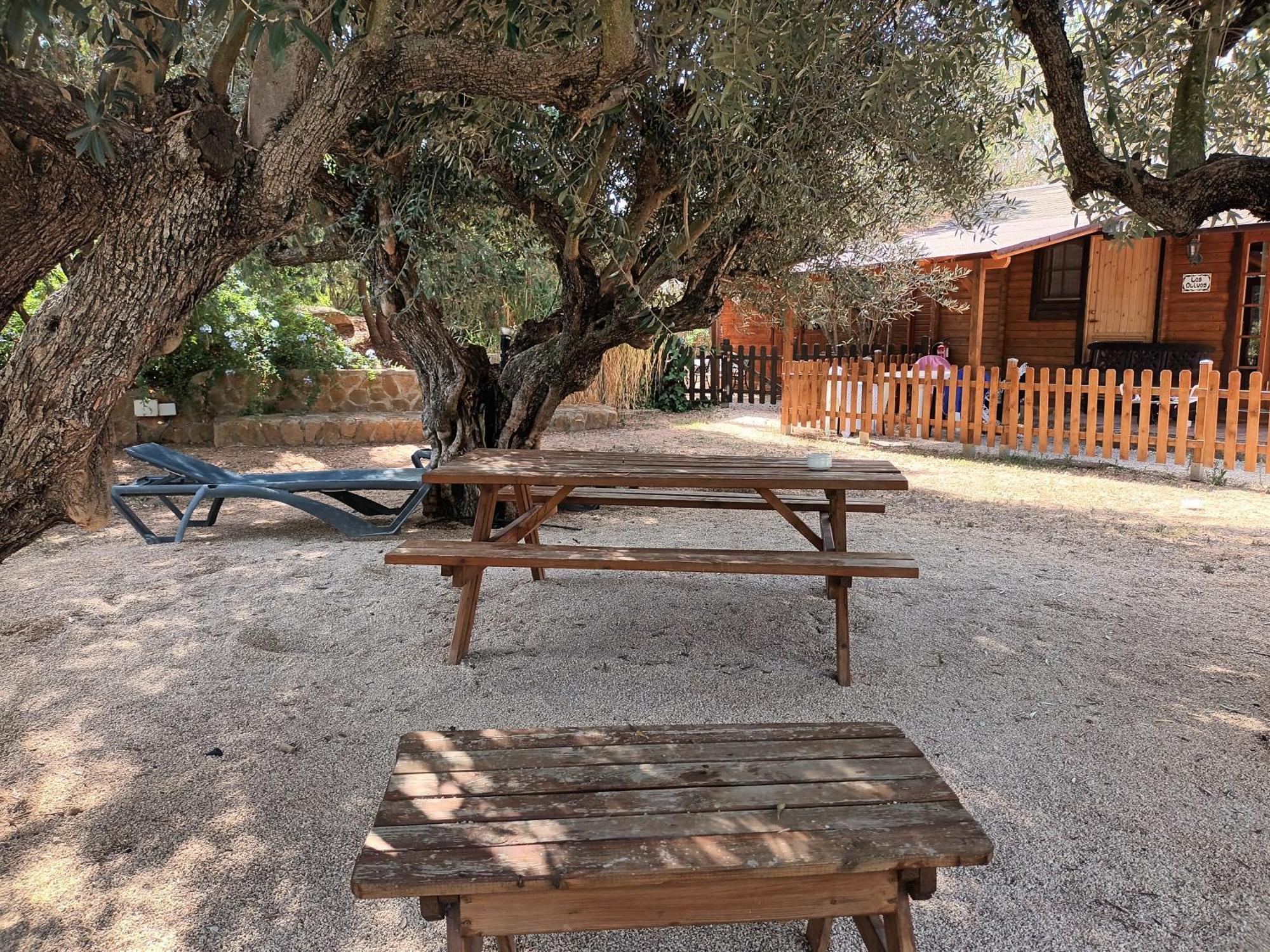 Entre Viejos Olivos Βίλα Benicolet Εξωτερικό φωτογραφία