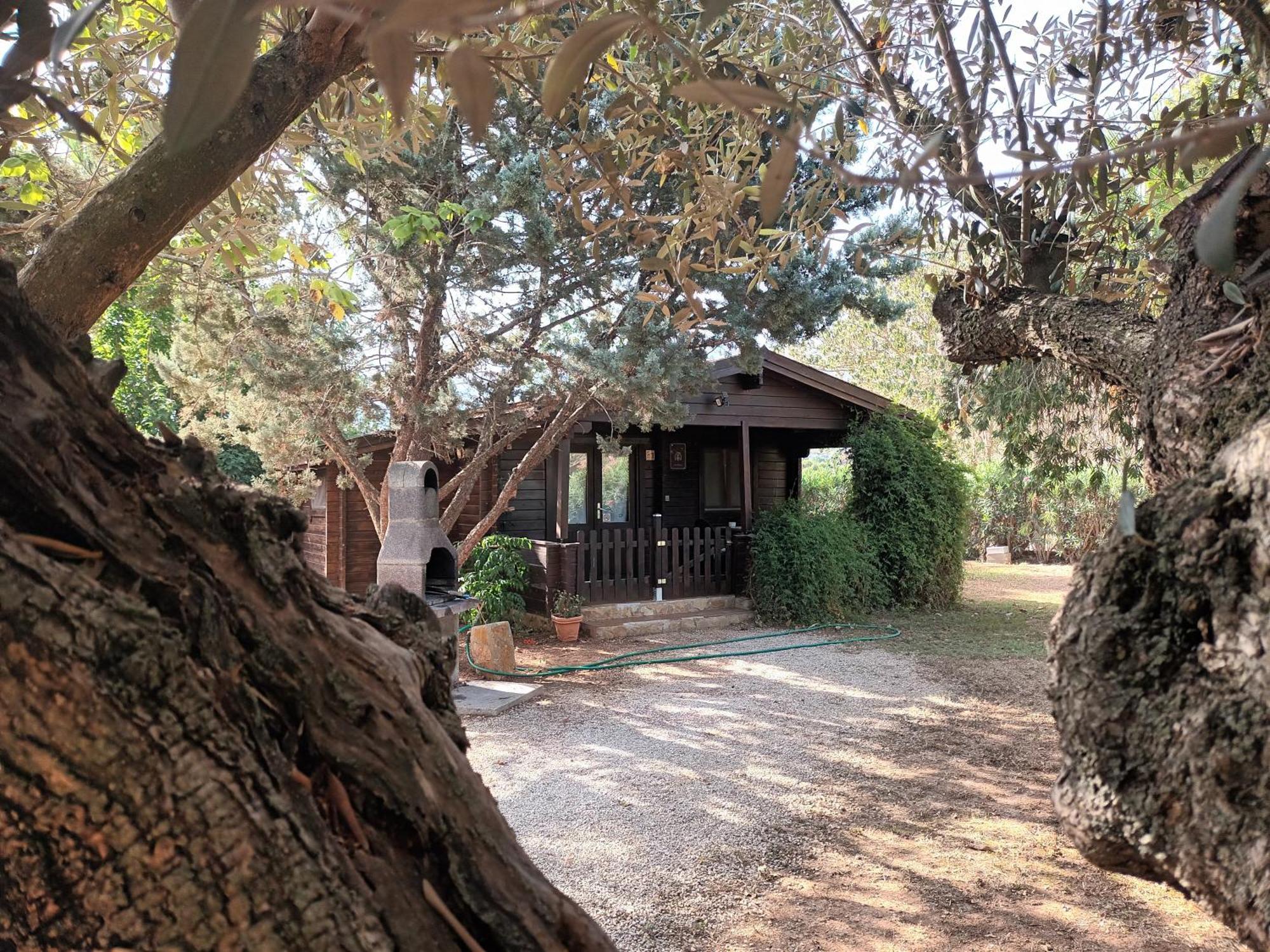 Entre Viejos Olivos Βίλα Benicolet Εξωτερικό φωτογραφία