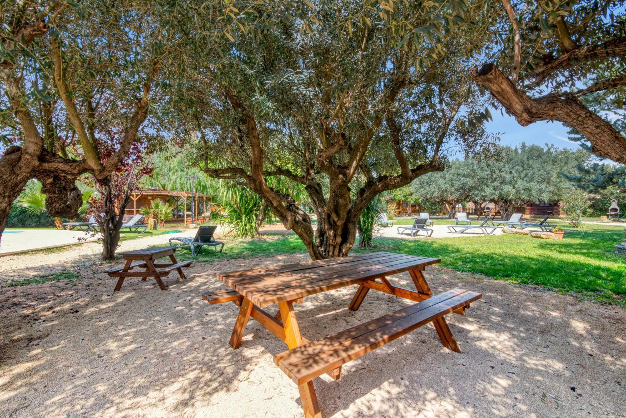 Entre Viejos Olivos Βίλα Benicolet Εξωτερικό φωτογραφία